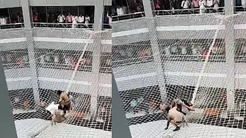 मंत्रालयातील संरक्षक जाळीवर एकाने उडी घेतली; पोलिसांची एकच पळापळ