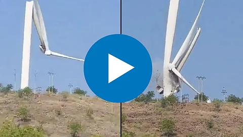windmill viral video