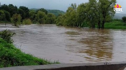 Sangli Rain News: 'अलमट्टीतून पाणी विसर्ग वाढवा, अन्यथा सांगलीला महापुराचा धोका', महापूर नियंत्रण कृती समितीची सरकारकडे मागणी