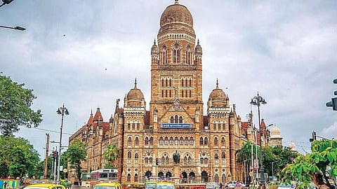 होतकरू बहिणी रोजगारापासून वंचित, BMC निविदांचा निकाल कधी लावणार? महिला बचत गट प्रतिक्षेत