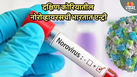 भारतात 'नोरोव्हायरस'ची एन्ट्री, दक्षिण कोरियातील नोरोव्हायरसची भारतात एन्ट्री