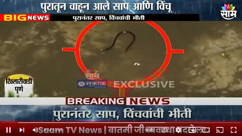 Pune Flood Video: पुण्यात पावसाची विश्रांती, पूरही ओसरला तरी पुणेकरांमध्ये भीती कायम; घरामध्ये आले साप-विंचू