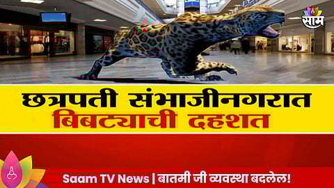Leopard: छत्रपती संभाजीनगरात बिबट्याची दहशत ,मॉलमध्ये बिबट्या, शाळांनाही टाळं