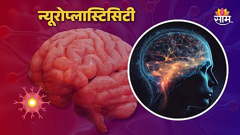 Neuroplasticity Brain Health