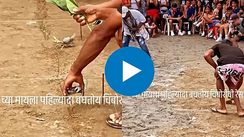 Crab Running Competition Viral Video