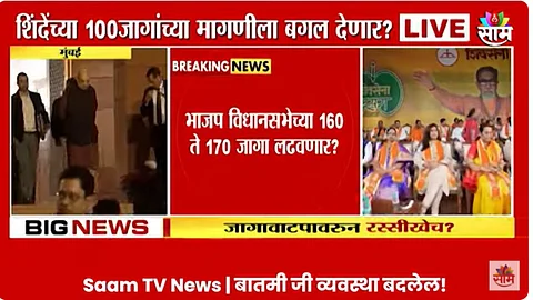 VIDEO: लोकसभेच्या निकालाची धास्ती, भाजप विधानसभेला १७० जागा लढवणार? शिंदे गट, अजित दादांच्या वाट्याला काय?