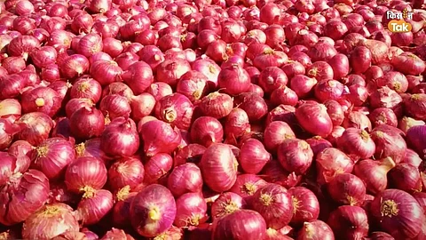 Onion Farmers: कांदा उत्पादकांसाठी सरकारचा मोठा निर्णय; नाशिक, संभाजीनगर, सोलापुरात उभारणार कांदा महाबँक