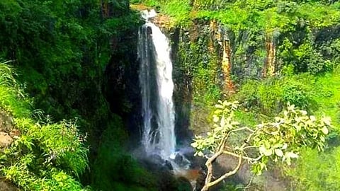 Chikhaldara Waterfall : विदर्भातील नंदनवनाचं सौंदर्य आणखी खुललं