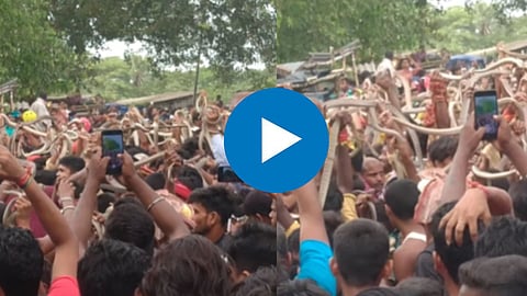 Snake Jatra Viral Video