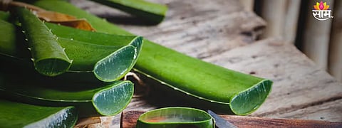 कोरफड ज्यूस