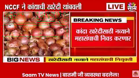 Saam Impact Video: NCCF ने थांबवली कांद्याची खरेदी; घोटाळ्याच्या वृत्तानंतर 67 महासंघांची खरेदी बंद; साम टीव्हीच्या बातमीचा इम्पॅक्ट
