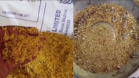 चाललंय काय? राज्यात महिला आणि मुलांच्या आरोग्याशी खेळ, पोषण आहारात आढळले किडे-अळ्या