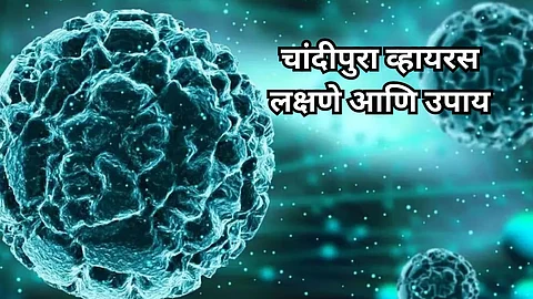 Chandipura Virus Symptoms: लहान मुलांसाठी धोकादायक असलेला चांदीपुरा व्हायरस आहे तरी काय? वाचा लक्षणे आणि उपाय