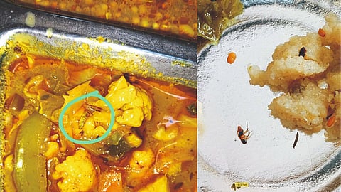चाललंय काय? रेल्वे कर्मचाऱ्यांच्या जेवणात अळ्या, झुरळ; लोअर परेल वर्कशॉप कँटिनमधील धक्कादायक प्रकार