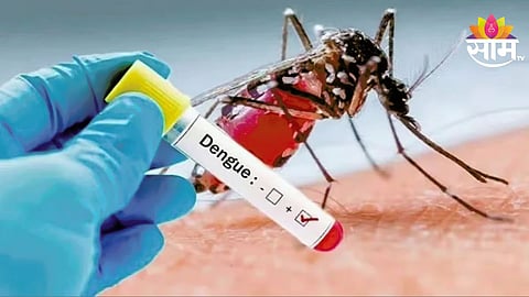 Dengue Positive