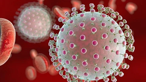Zika virus: पुणेकरांसाठी धोक्याची घंटा; शहरात झिका व्हायरसचे 66 रुग्ण, गर्भवती महिलांना व्हायरसची लागण