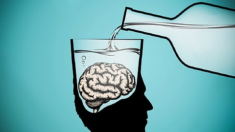 Side Effects of Alcohol on the Brain