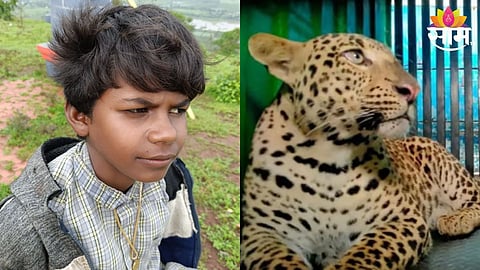 बिबट्याच्या हल्यात १६ वर्षीय युवकाचा मृत्यू