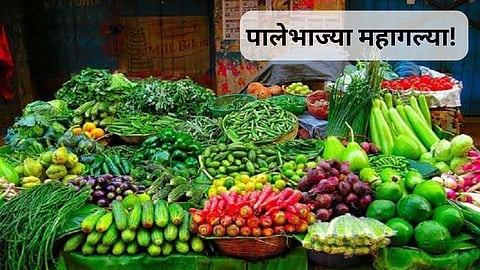 Green leafy vegetables Rate