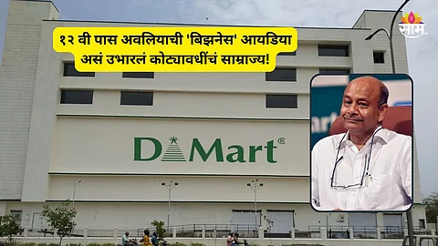 Dmart Profit Strategy: 'डीमार्ट'मध्ये सगळं स्वस्त कसं मिळतं बरं? फक्त १२ वी पास व्यक्तीची भन्नाट बिझनेस आयडिया; एकदा वाचाच....