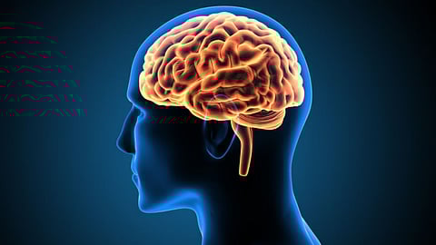 Plastic In Brain: तुमच्या मेंदूत जमा होतोय प्लास्टिक? व्हायरल मेसेजचं सत्य काय?