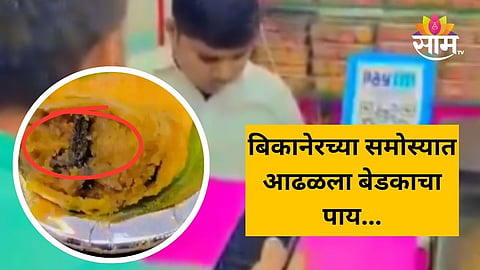 Viral Video: चाललंय तरी काय? बिकानेरच्या समोस्यामध्ये आधी झुरळ आता बेडकाचा पाय, व्हिडीओ पाहून तुम्हालाही येईल किळस