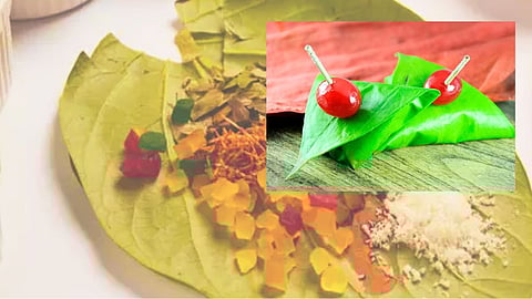 Eat Betel Leaves