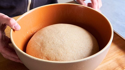 Wheat Flour in Fridges