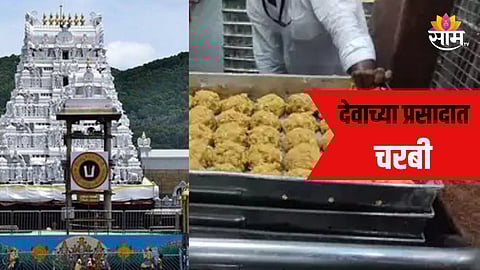 tirupati laddu row