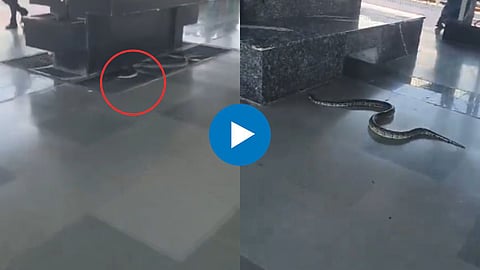 Shocking Viral Video