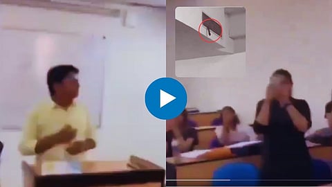 Snake Viral Video