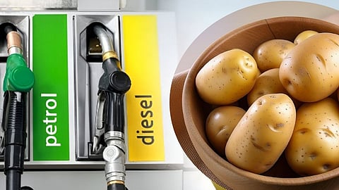 Potato Fuel Instead of Petrol Diesel