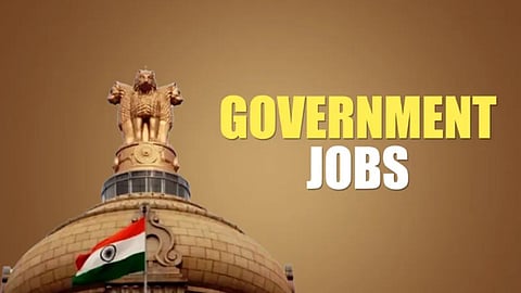 Government Job