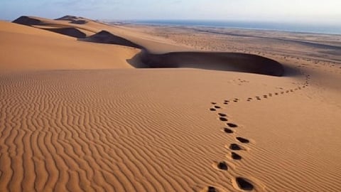Mysterious footprints