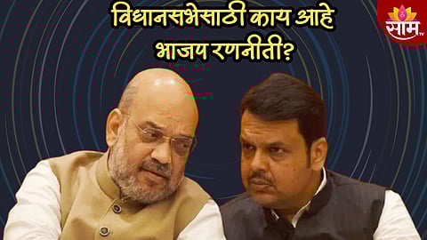 लोकसभेत फटका, विधानसभेत सावध पवित्रा! भाजपने विधानसभेसाठी काय केली आहे मायक्रो प्लॅनिंग? जाणून घ्या