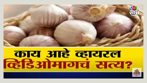 Chinese Garlic in Market Viral Video