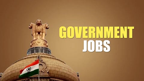 Government Job