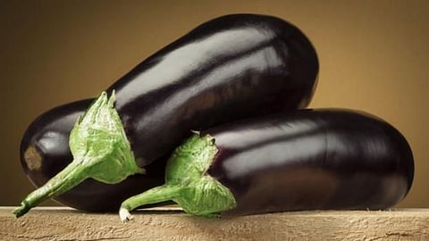 Brinjal Side Effects