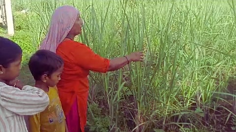 Shirur Leopard attack News