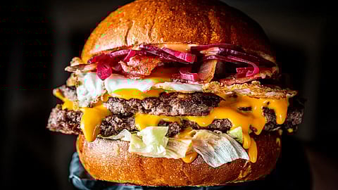 Burger E-COLI: एक बर्गर करेल तुमचा घात?बर्गरमधील E-COLI जीवाणूमुळे एकाचा बळी