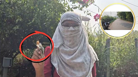 Alibaug News: रस्त्यावर पडला पैशांचा पाऊस; मालक कोण? ऐन निवडणुकीत अलिबागमध्ये घडलेल्या प्रकाराने खळबळ