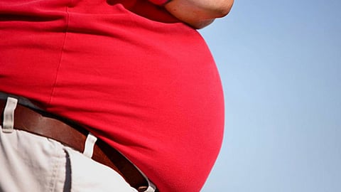 Belly Fat Reasons