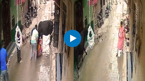 Shocking Viral Video