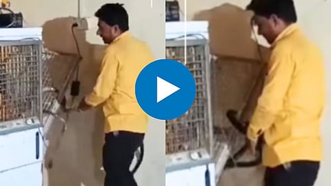 Shocking Viral Video