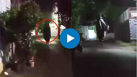 Shocking Viral Video