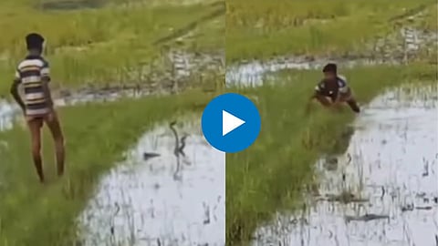 Shocking Video