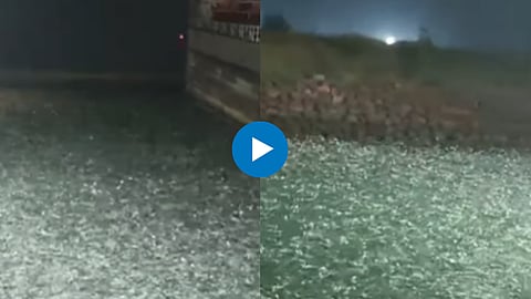 Viral Video: जयगड बंदरावर माशांचा आला थवा, पाहा VIDEO