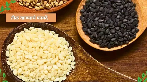 Sesame Seeds: २१ दिवस रोज १ चमचा तीळ खा; तुम्ही विचारही केला नसेल इतके होतील आश्चर्यकारक फायदे