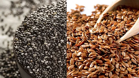 Seeds