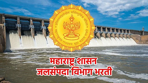 Government Job
